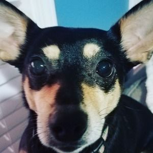 Meet your Posher, Keegan